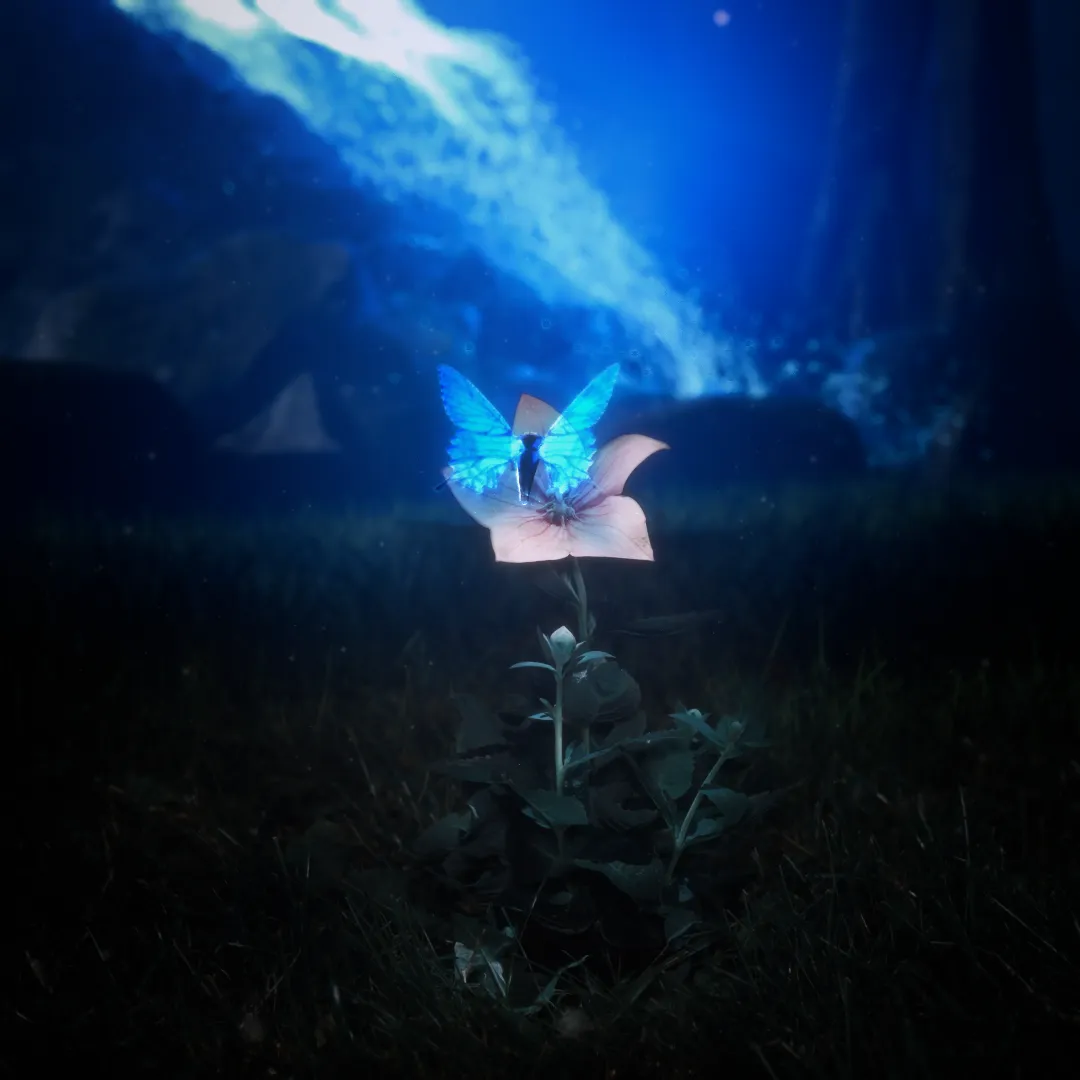 Information about the Beautiful release